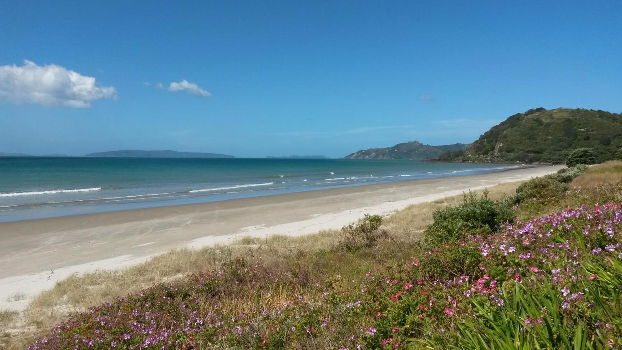 Waimaire Matarangi B&B 외부 사진